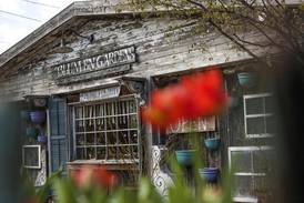 Galentine’s Day events happening in northern Illinois this February