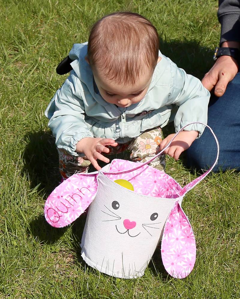 Quinn Stadie, puts an egg in her basket at the Elburn Lions Easter Egg Hunt on Saturday, April 12, 2025 in Elburn.