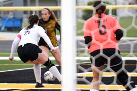 Photos: Manteno at Herscher, girls soccer