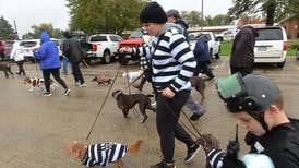 Polo’s Doggy Dash fundraiser is Sept. 7 
