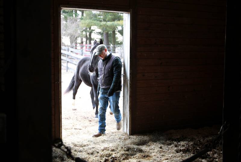 Horse Trainer Mitch Bornstein works with Prince at Casey’s Safe Haven in Maple Park.
