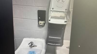 Juvenile cited for bathroom vandalism at Hegeler Park