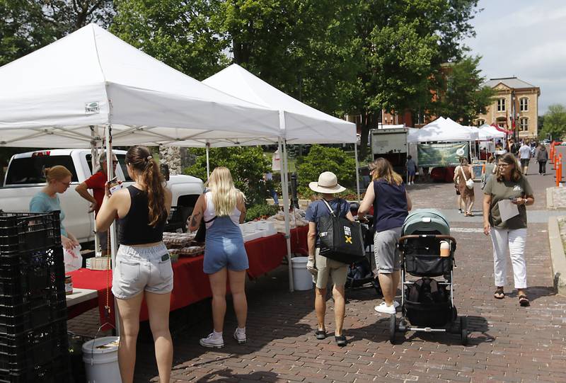 People shop at the Tuesday Woodstock Farmer's Market on June 24, 2025, around the Historic Woodstock Square.