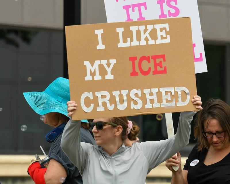 Traci of Woodridge holds a sign reading “I Like my Ice Crushed” during the No Kings rally in Lisle on Saturday June 14, 2025, held on Ogden Ave. near the Tesla dealership.