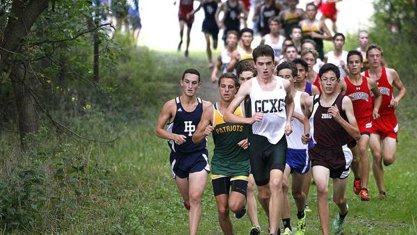Grayslake Central boys cross country captures team title at Antioch Regional