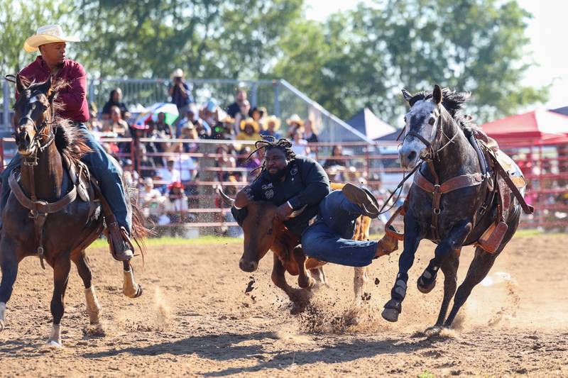 Robert Hughes, of Crete, takes down a steer in the steer wrestling competition during the 50th Pembroke Rodeo on Sunday, May 24, 2026. Hughes, a former NFL player, has been a lifelong rider and has been coming to the Pembroke Rodeo for 37 years.