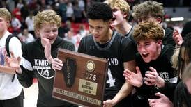 IHSA Class 3A State Tournament Preview Capsules
