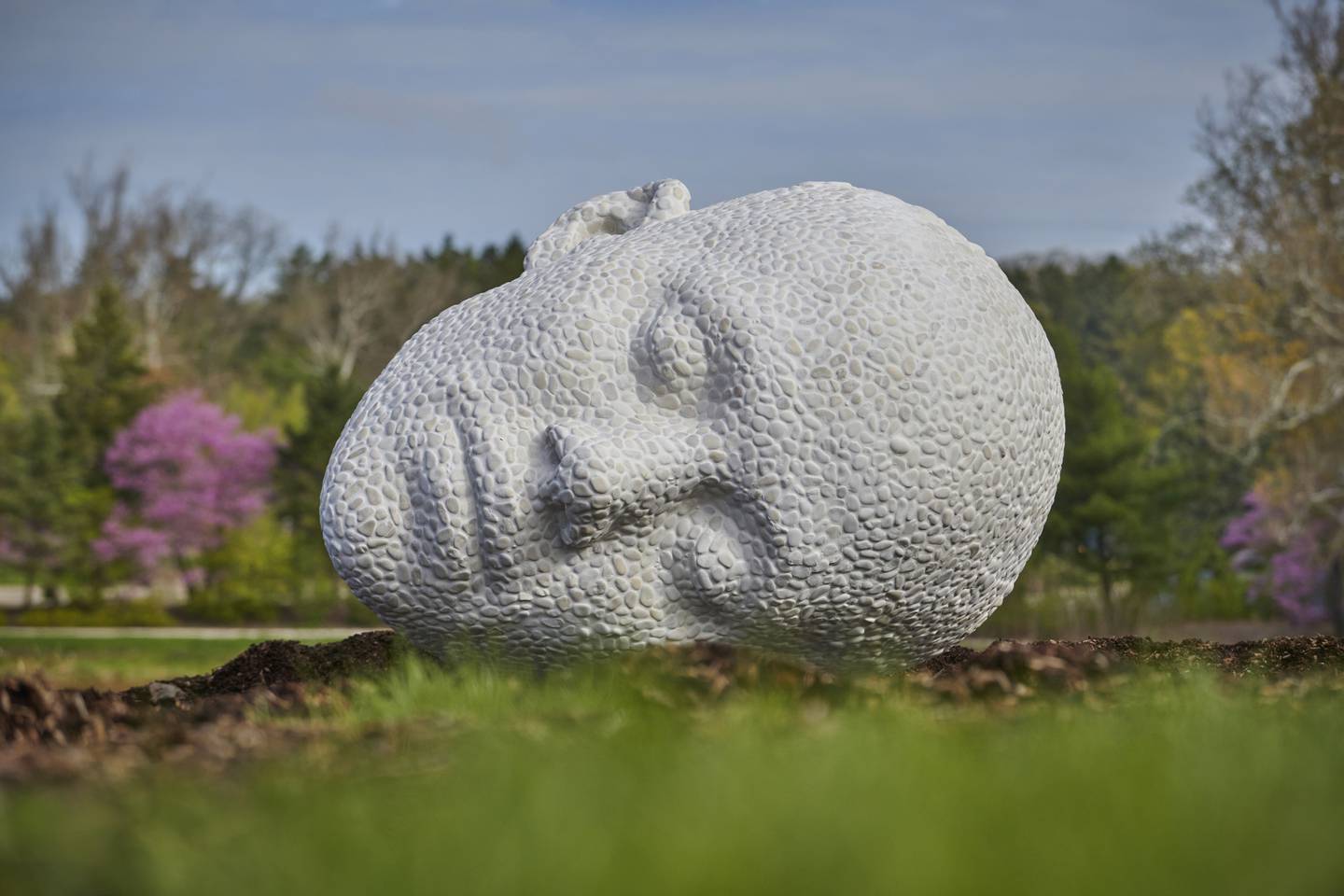 Hear: Of the Earth is now one of several sculptures on display at The Morton Arboretum in Lisle.