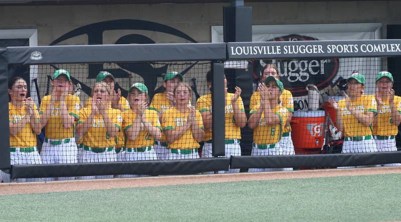 Members of the Providence Catholic softball team cheer from the dugout while playing Chatham during the Class 3A State finals game on Saturday, June 14, 2025 at the Louisville Slugger Sports Complex in Peoria.
