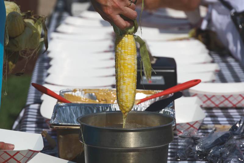 State Representative Tony McCombie hosted her second Sweet Corn Day event in Savanna on Aug. 1.