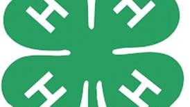 Ogle County 4-H joins national celebration of leadership, learning, service