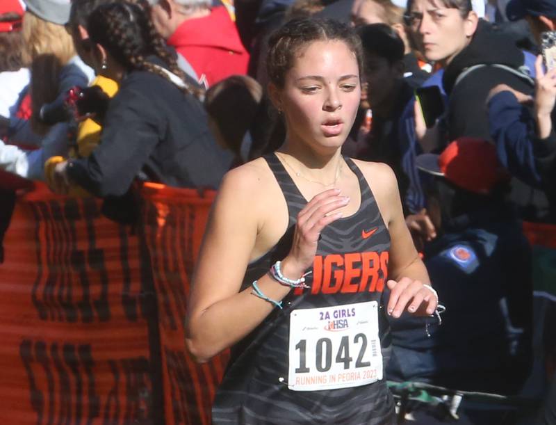 Crystal Lake Central's Hope Ferrero competes in the Class 2A State Cross Country race on Saturday, Nov. 4, 2023 at Detweiller Park in Peoria.