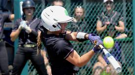 Softball preview: A look at the seasons ahead for Seneca, Sandwich, Fieldcrest and our Little Ten teams