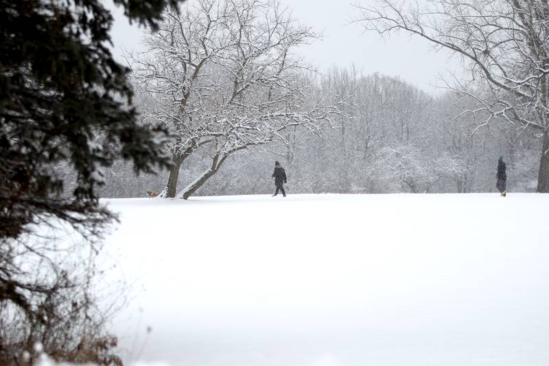 Snow falls as a pair play with their dog at LeRoy Oakes Forest Preserve in St. Charles on Wednesday, Jan. 25, 2023.