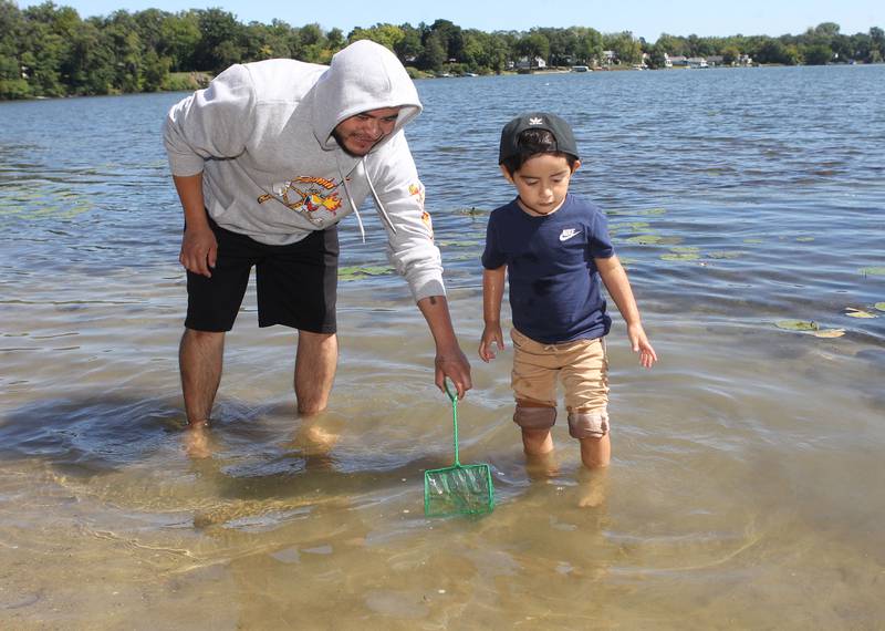 Manuel Hernandez, of Lake Villa helps his son, Matthew, 4, catch minnows with a net in Round Lake during the Family Fishing Event at Lake Front Park on Saturday, September 9th in Round Lake Beach. The event was sponsored by the Round Lake Area Park District and the Huebner Fishery Management Foundation.
Photo by Candace H. Johnson for Shaw Local News Network