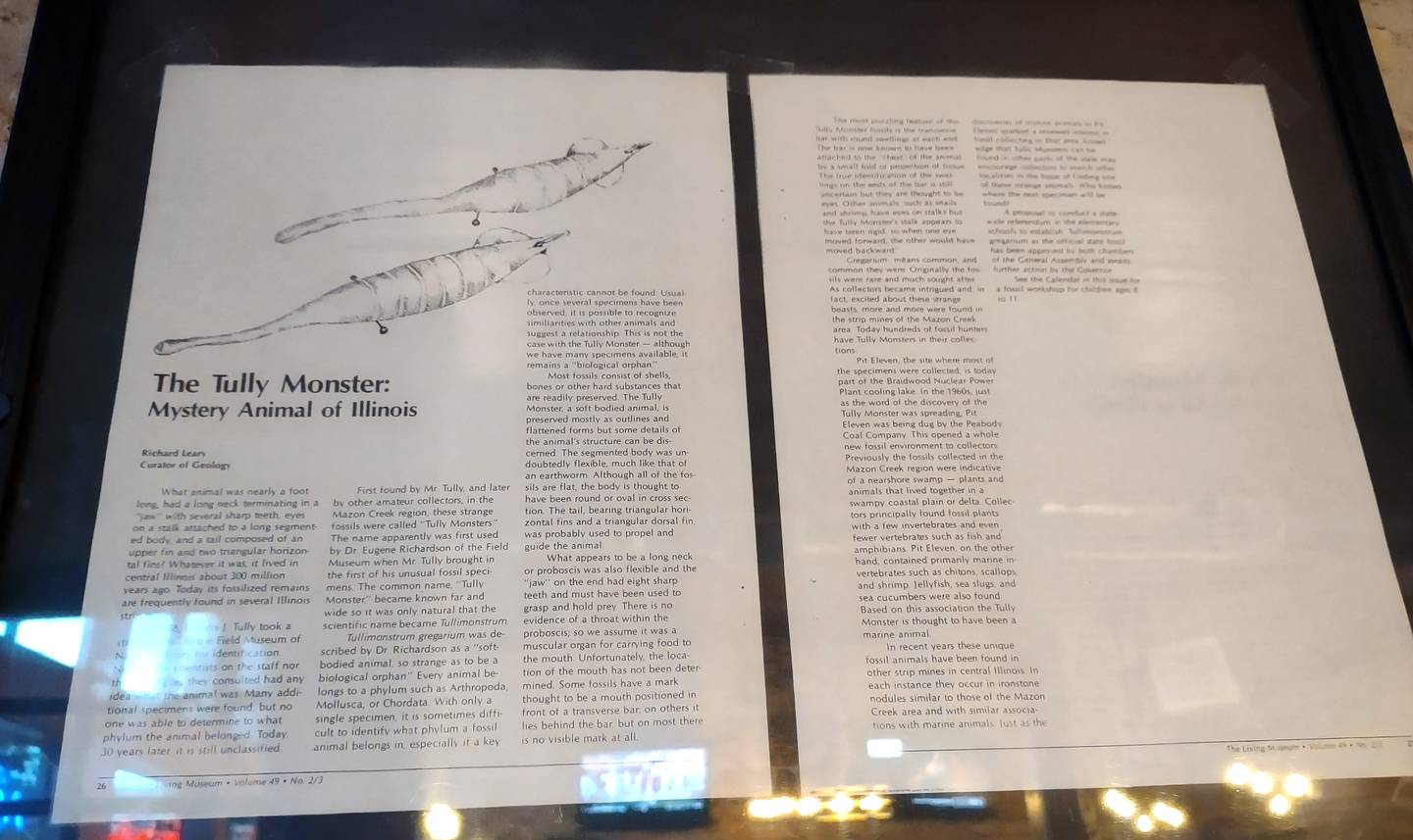 Tully Monster Pub & Grill in downtown Morris is the namesake of the 300 million-year-old creature found fossilized in the Mazon Creek fossil beds southeast of Morris. Guests can find framed articles and paraphernalia that celebrate the creature lining the wall near the entrance.