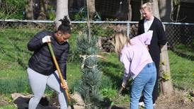‘250 trees for tomorrow:’ DeKalb community tree planting marks nation’s anniversary