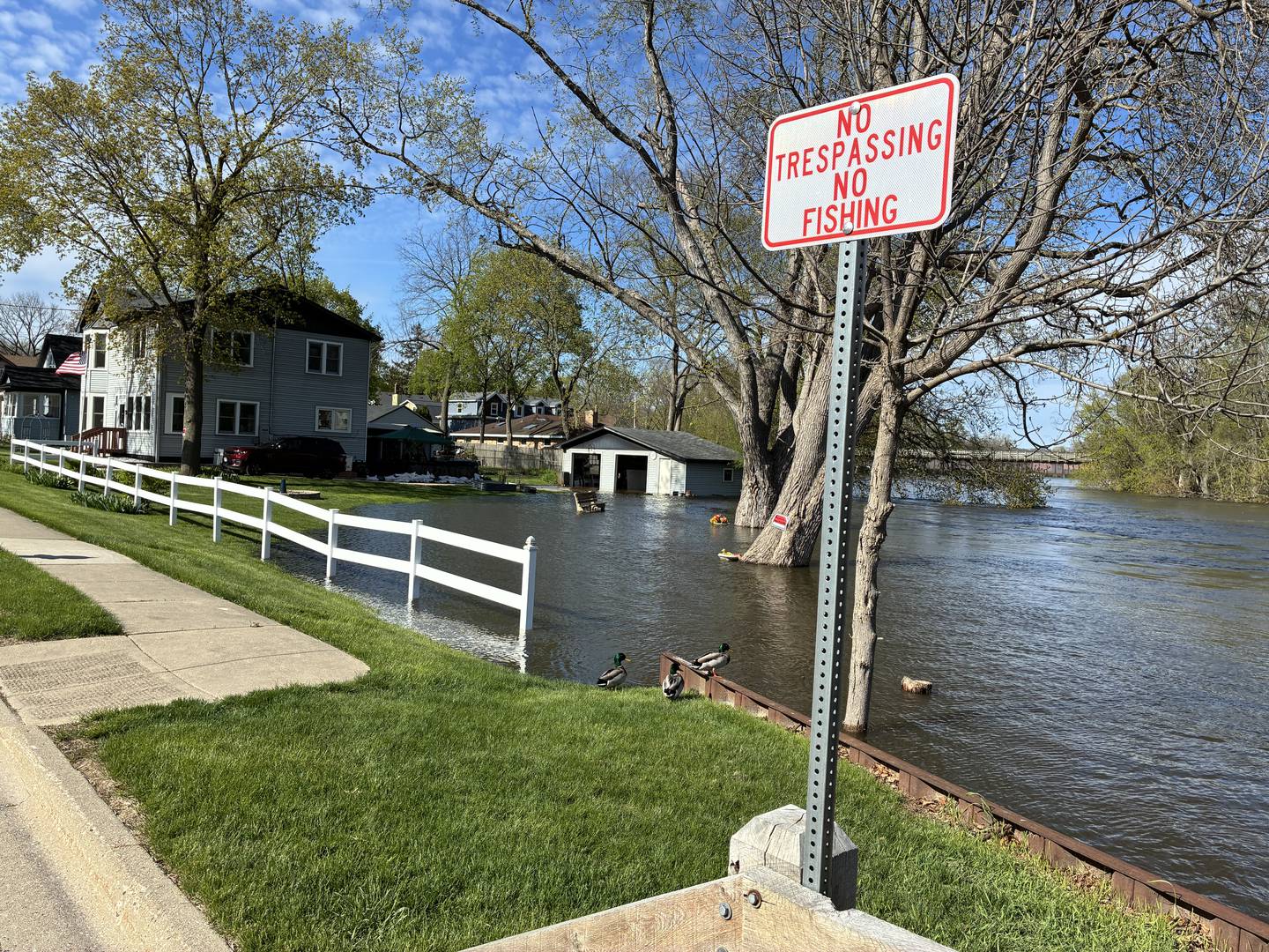 An inundated Algonquin yard south of the Route 62 bridge and dam on Monday, April 20, 2026. The Fox River is expected to crest here later this week.