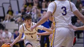 2024-25 NewsTribune Boys Basketball All-Area Team