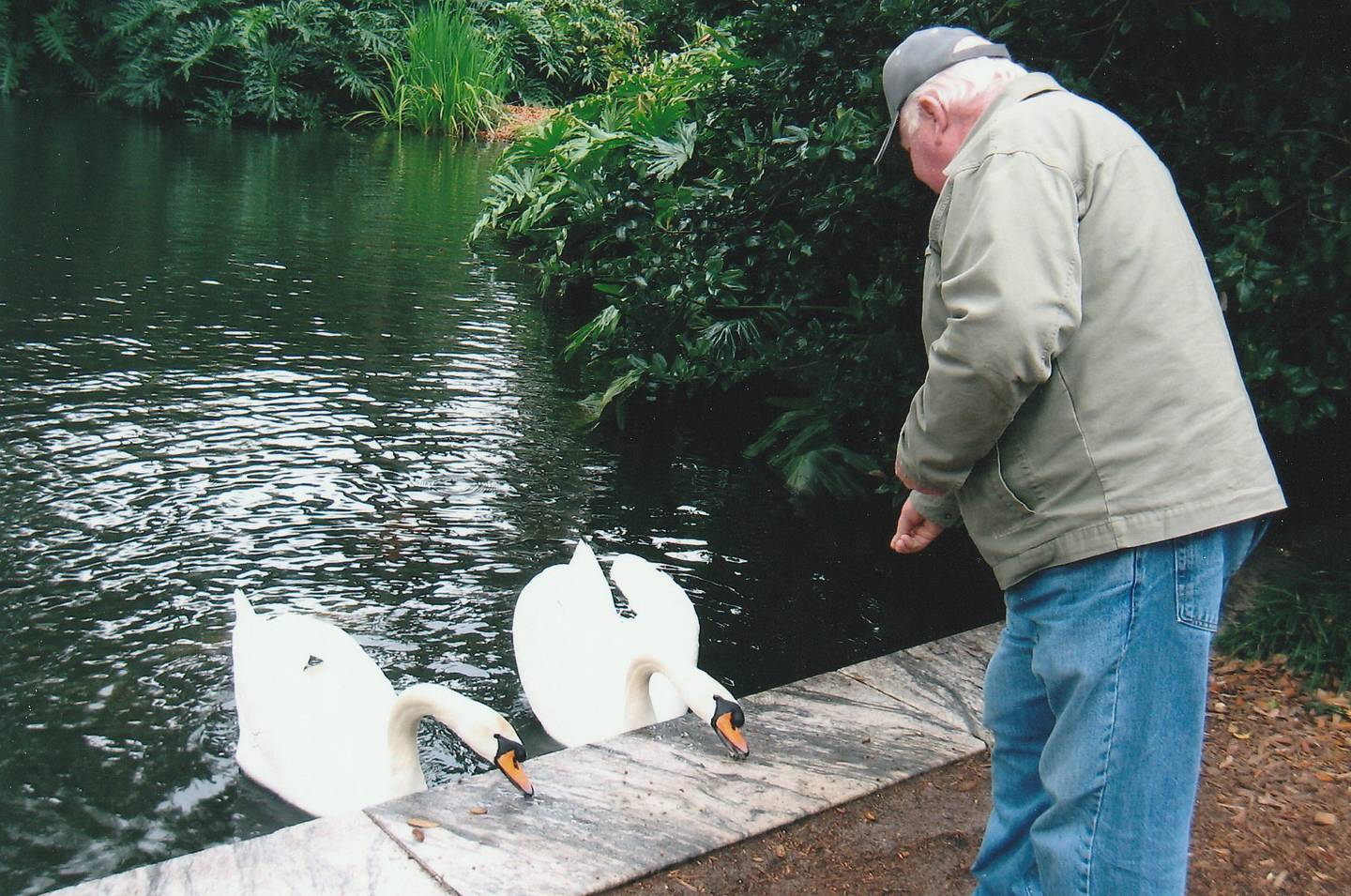 Jerry Taylor of Plainfied was a kind, but stoic man, with a deep love for Plainfield and strong work ethic. But he had a tender heart for animals and loved to feed them.