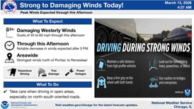 High winds down power lines, close roads in McHenry County 