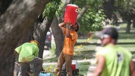 Will County under heat advisory: How to stay cool and safe