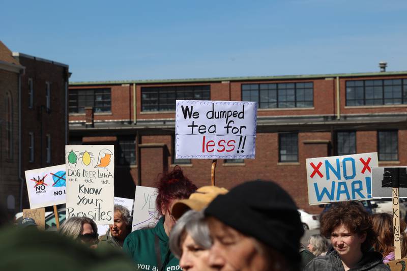 Protesters participate in the No Kings rally at the Kankakee County Courthouse on March 28, 2026.