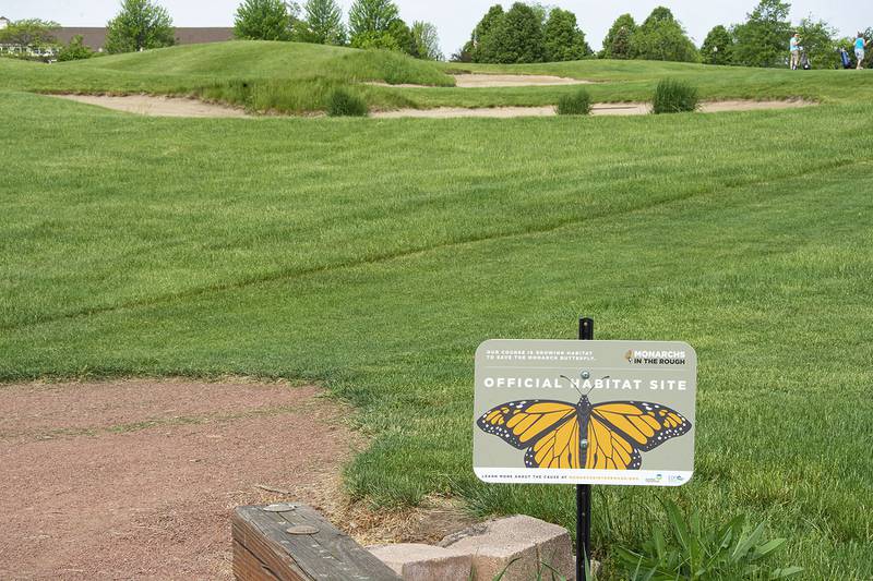 The 3-hole golf course at Carillon Lakes in Crest Hill was recently accepted into the Monarchs in the Rough program, The program is a partnership between Audubon International and Environmental Defense Fund to help staff at golf courses “plan, install, and manage habitat projects for the monarch butterfly on their courses,” according to the Monarchs in the Rough website.