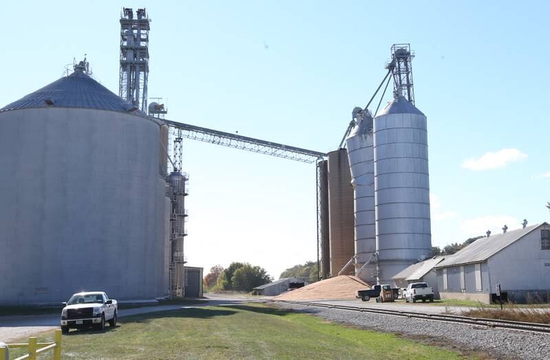 Grain pours out of a partial collapse silo at Rumbold & Kuhn Inc. on Tuesday, Oct. 15, 2024 in Putnam.