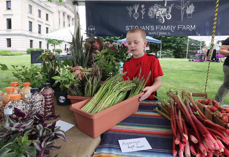 Ryan Stojan, 8, from Maple Park, helps gets the Stojan Family Farm booth set up for customers  Tuesday, June 7, 2022, before the Sycamore Farmers Market on the lawn of the DeKalb County Courthouse.