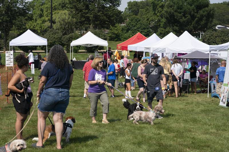 Spectators and their dogs check out vendor tents during the 7th Annual VetBros Charity Dog Show on Sunday, August 4th, 2024 at the Ross Ferraro Town Center in Carol Stream. The event featured awards, vendors, a dog agility course and a doggy water play area. All proceeds benefited the VetBros Pet Education Charitable Fund which helps community pet owners in need.