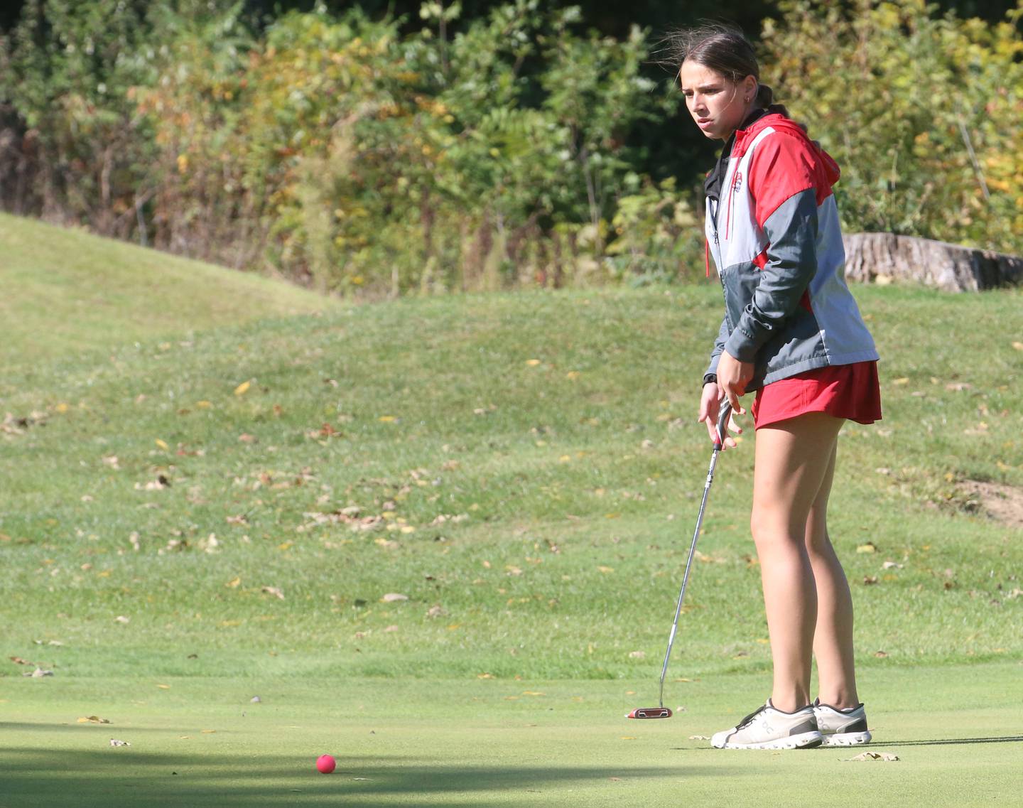 Ottawa's Marlie Orlandi puts during the Class 2A Regional girls golf meet on Tuesday, Oct. 1, 2024 at Senica's Oak Ridge  Golf Club in La Salle.