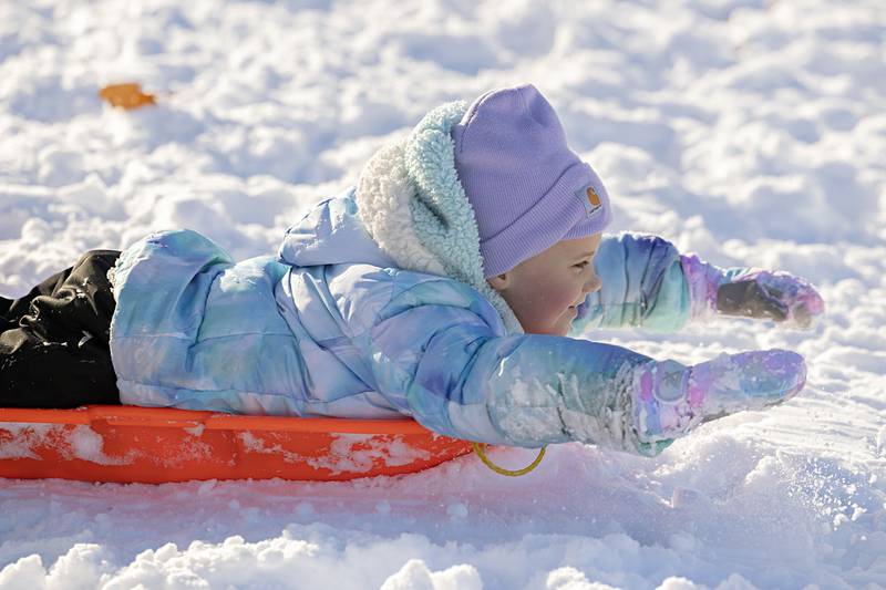 Zoey Newby, 6, eyes the slope Sunday, Nov. 30, 2025, at EC Smith Park in Dixon. The hill was popular with kids looking for fun.