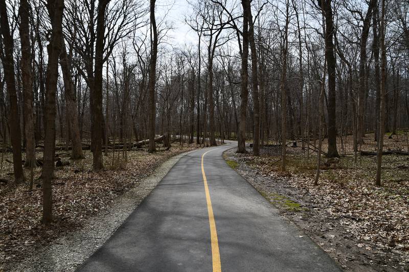 The Forest Preserve District of Will County will host a “Wander and Wonder Hike” from 10 to 11:30 a.m. Sunday at Hickory Creek Preserve – LaPorte Road Access, Mokena. This slow hike is more about discovery than destination. who wish to hike for discovery over destination. The event is free and is intended for ages 10 or older. Registration not required.