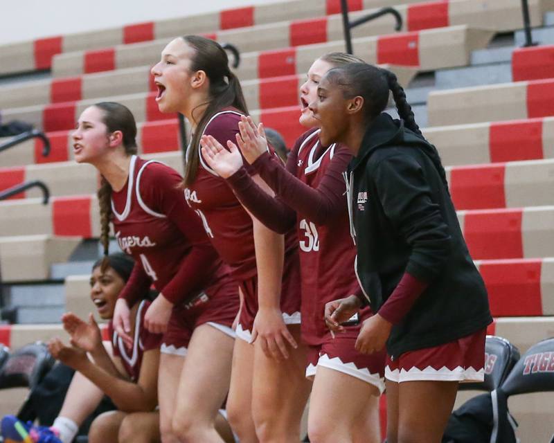 The Plainfield North bench cheers on the team during their Regional Final basketball game between Downers Grove North at Plainfield North. Feb 20, 2025 in Plainfield.