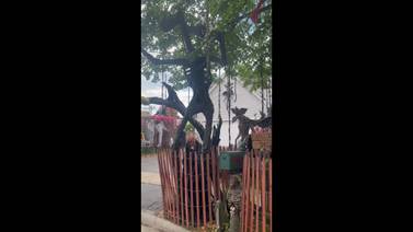 Video: Plainfield home goes all out for Halloween – again