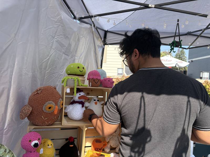 AJ Parcero looks at merchandise at the Huntley Farmers Market Oct. 4, 2025.
