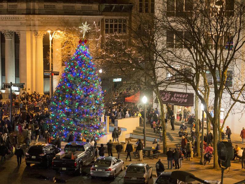 Joliet chooses first Christmas tree for new City Square