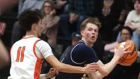 Here are key 2026 IHSA boys basketball postseason storylines to watch in McHenry County