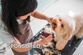 Grooming tips to get your pet ready for spring