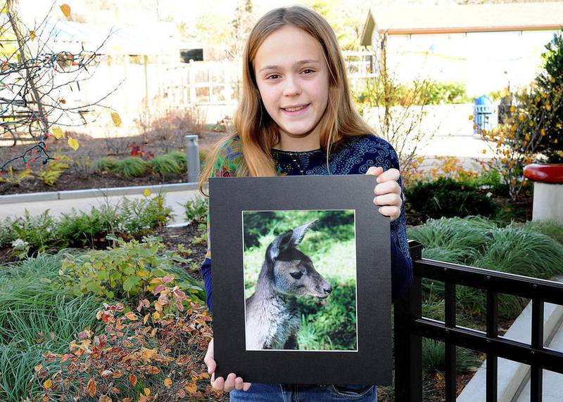 Brookfield Zoo picks photo contest winners Shaw Local