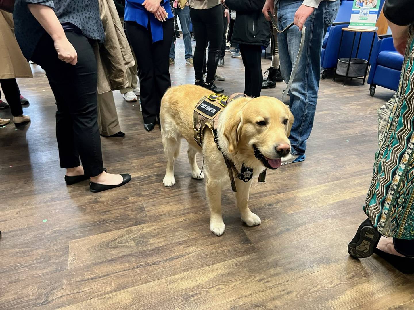 Comfort dog Chance attends the ribbon cutting and grand opening of Ecker Center’s new Crisis Stabilization Program Tuesday. Chance is part of the Collaborative Crisis Services Unit at the Elgin Police Department in partnership with Ecker Center.