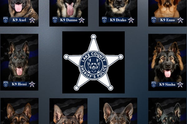Sheriff’s K-9 teams deliver strong results throughout 2025