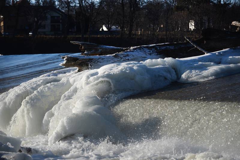 Ice forms on a tree trunk in the Rock River at the Oregon dam on Tuesday, Jan. 14, 2025. The cold temperatures are forecast to last through the week.