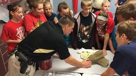 St. Charles School District 303 hires homegrown head of security