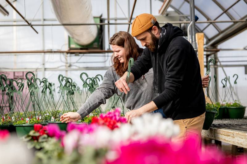 Kishwaukee College students work in the college’s greenhouse in preparation for the annual Spring Plant Sale. The sale will take place May 5-6, with online preorders available April 25-28.