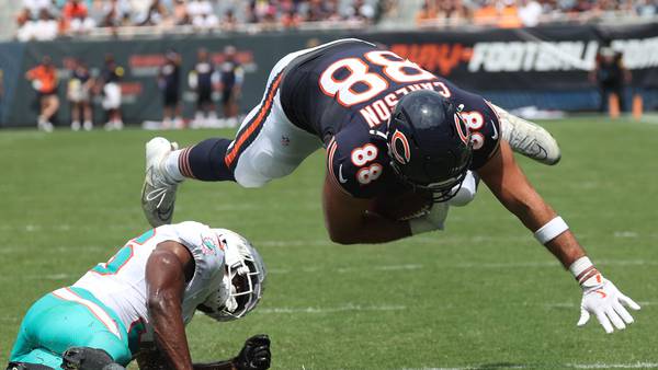 Photos: Bears open preseason with tie against Dolphins