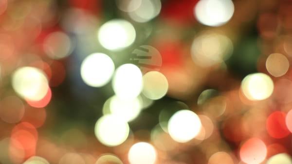 Polo Chamber launches home and business holiday decorating contest