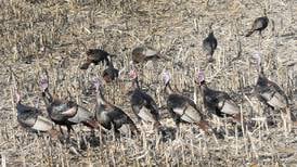 Measure led by State Sen. Joyce that expands hunting permits to landowners signed into law