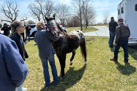 Horse saved from floodwaters near Marengo returns home: ‘He knew they were fighting for his life’